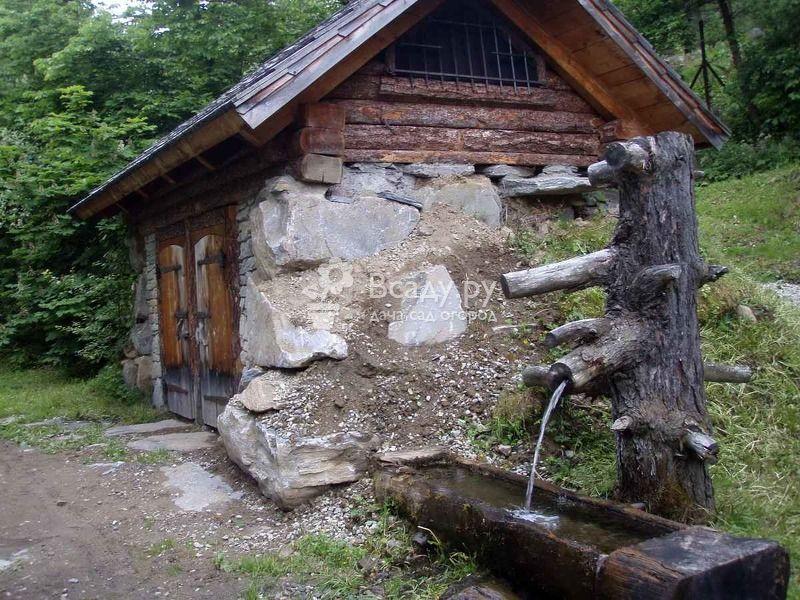 Виды искусственных водоемов для сада с фото и описанием