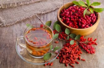 Какой барбарис можно есть и что из него приготовить Какой барбарис можно есть и что из него приготовить